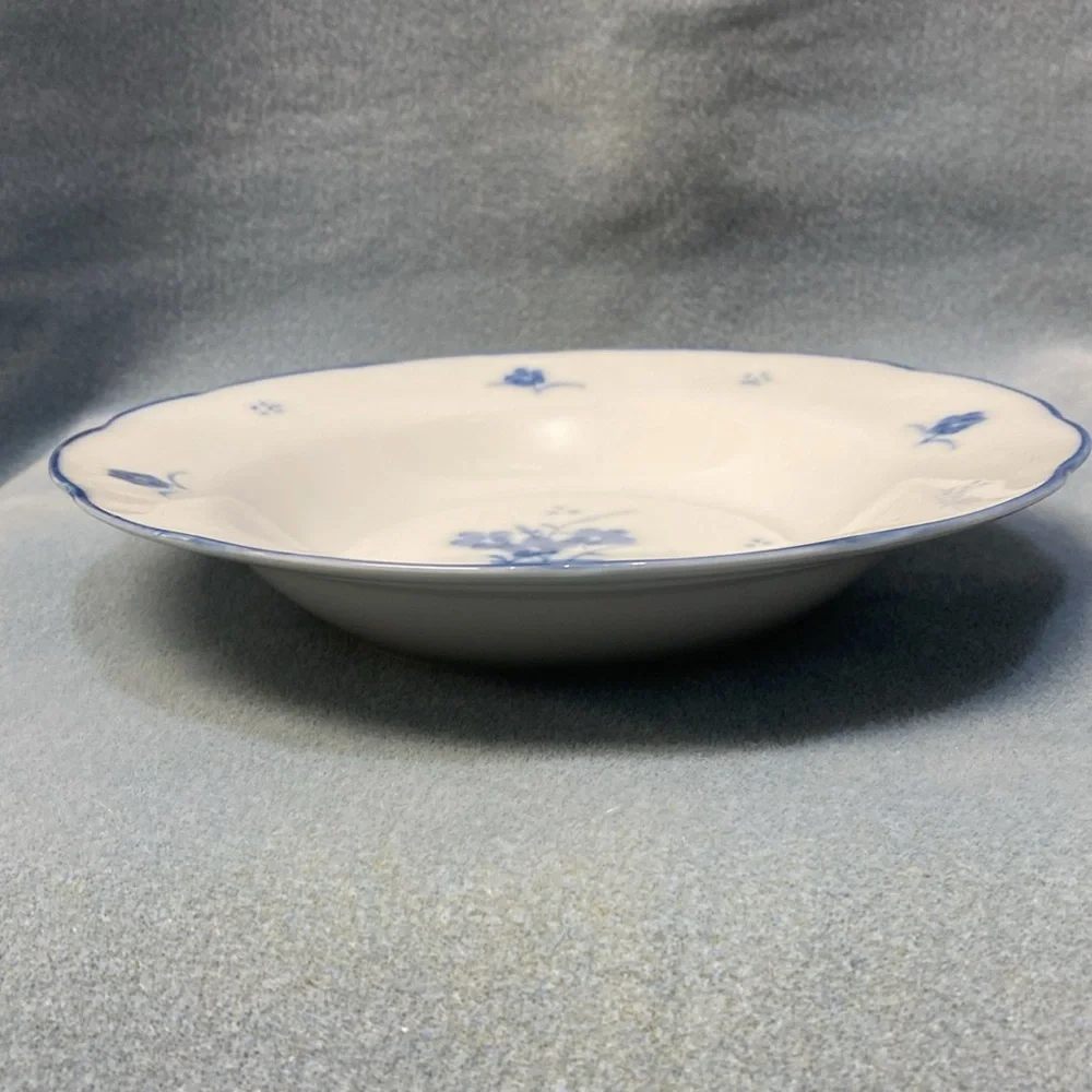STEELE HAND PAINTED PORCELAIN DE CHINE SOUP BOWL